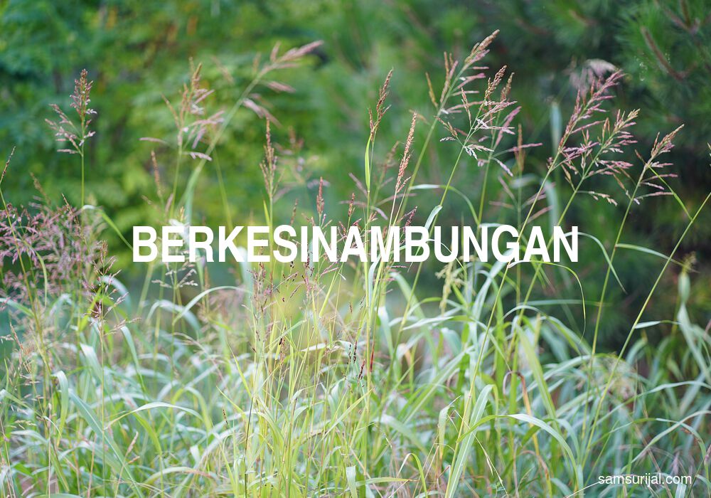 Arti Berkesinambungan