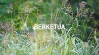 Berketua