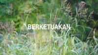 Berketuakan