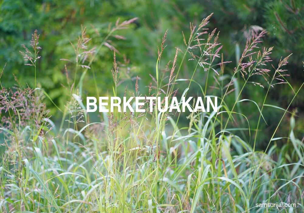 Arti Berketuakan