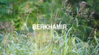 Berkhamir