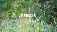 Berkias