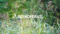 Berkoperasi