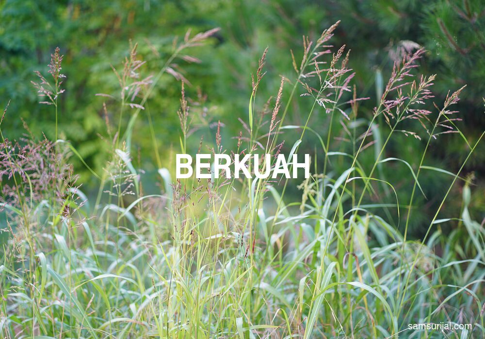 Arti Berkuah