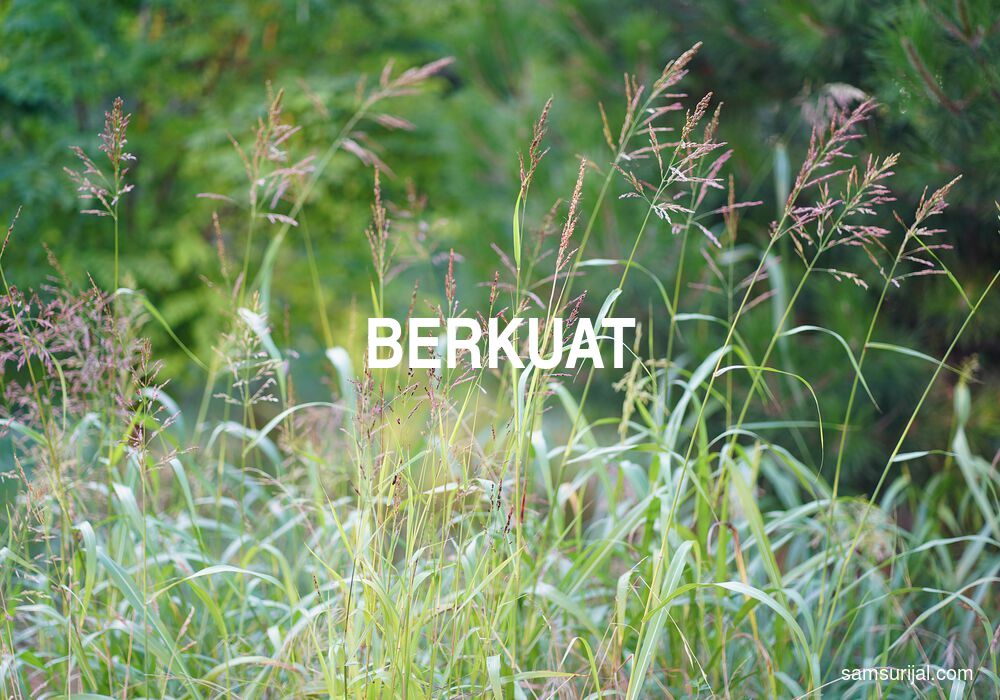 Arti Berkuat