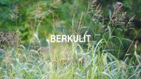 Berkulit