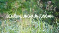 Berkunjung-Kunjungan