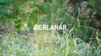 Berlahar