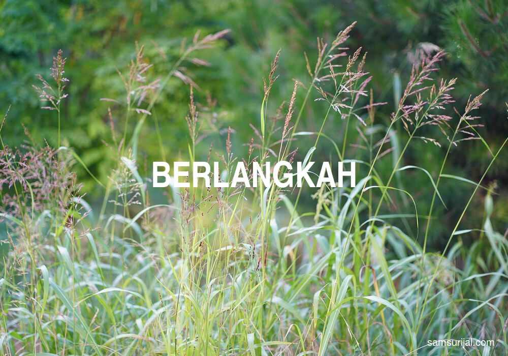 Arti Berlangkah