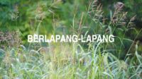 Berlapang-Lapang