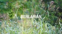 Berlarian