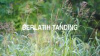 Berlatih Tanding