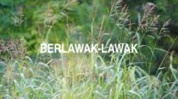 Berlawak-Lawak