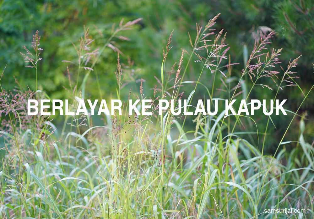 Arti Berlayar Ke Pulau Kapuk