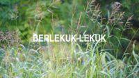 Berlekuk-Lekuk