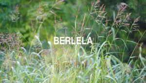 Berlela