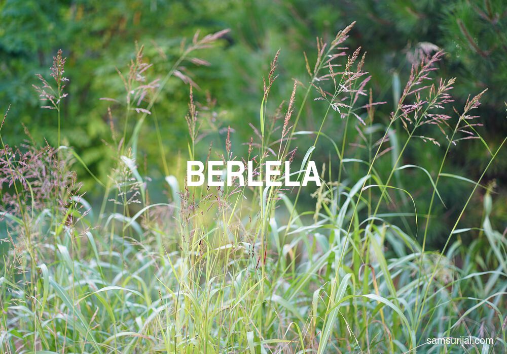 Arti Berlela