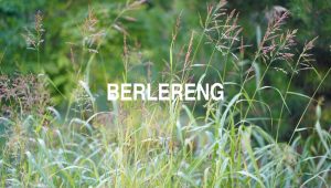 Berlereng