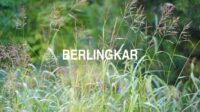 Berlingkar