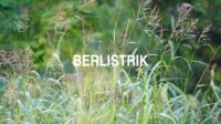 Berlistrik