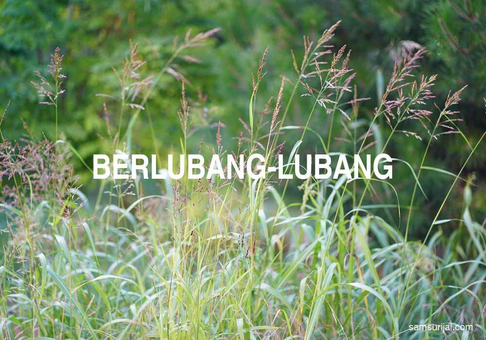 Arti Berlubang Lubang