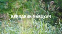 Bermabuk-Mabukan