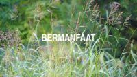 Bermanfaat