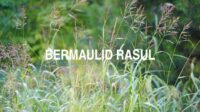 Bermaulid Rasul