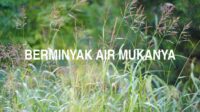 Berminyak Air Mukanya