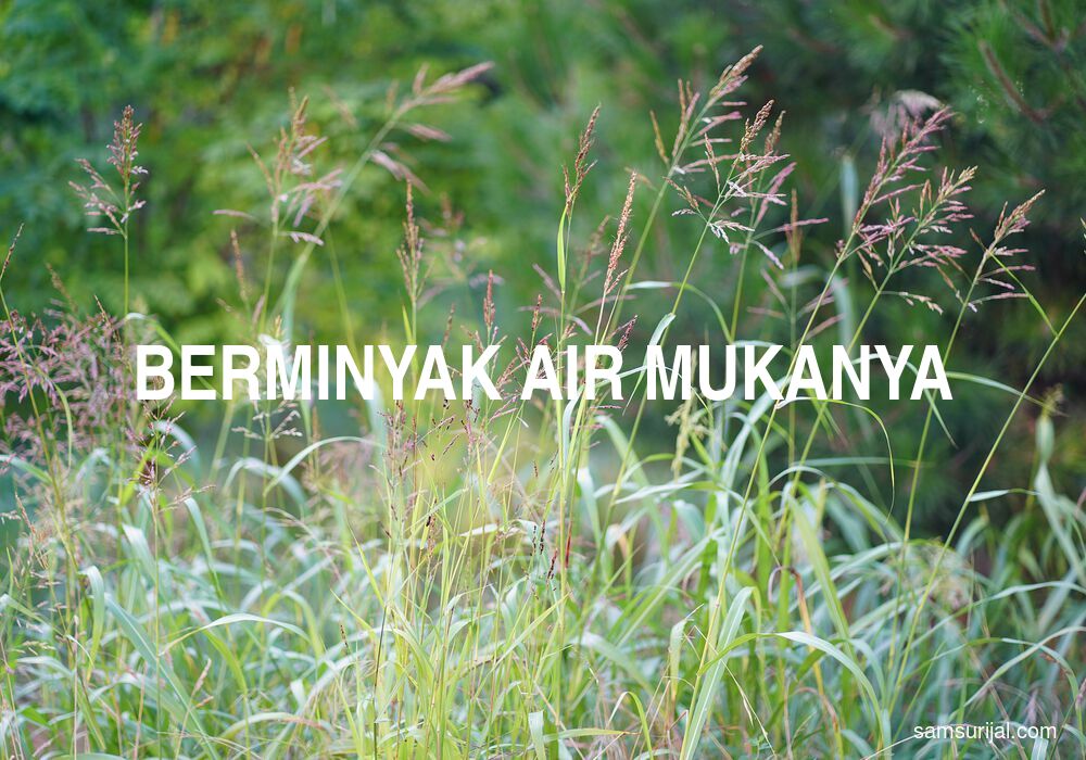 Arti Berminyak Air Mukanya