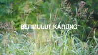 Bermulut Karung