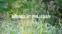 Bermulut Pinjaman