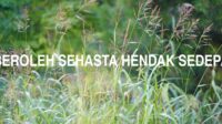 Beroleh Sehasta Hendak Sedepa