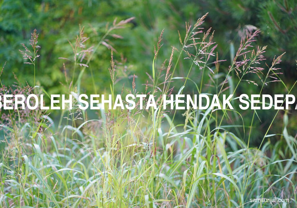 Arti Beroleh Sehasta Hendak Sedepa