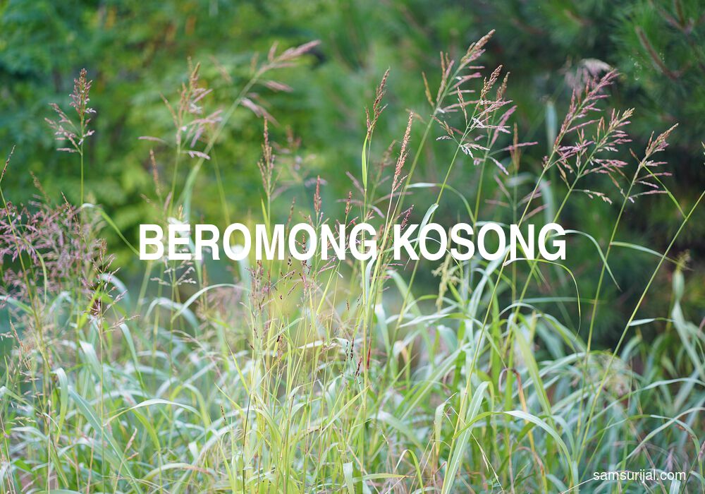 Arti Beromong Kosong