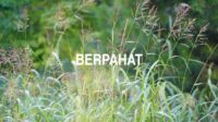 Berpahat