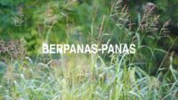 Berpanas-Panas