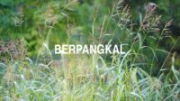 Berpangkal