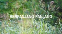 Berpanjang-Panjang