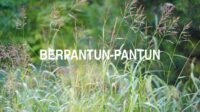 Berpantun-Pantun