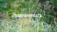 Berpariwisata