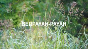 Berpayah-Payah