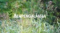 Berpengalaman