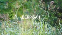 Berpisah