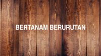 Bertanam Berurutan