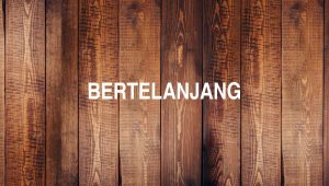 Bertelanjang
