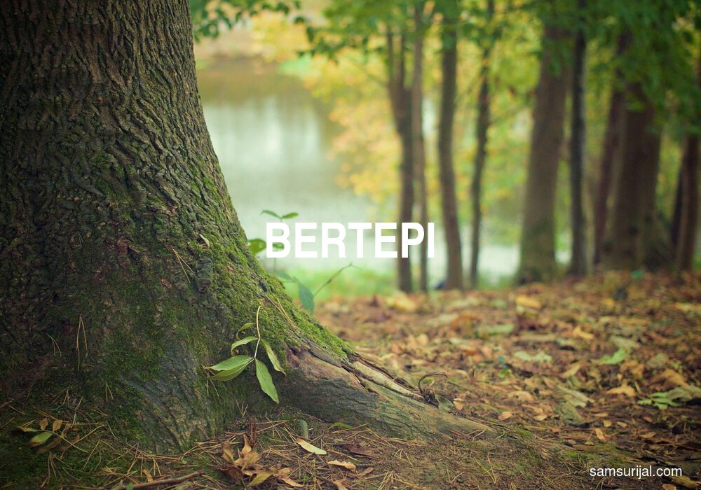 Arti Bertepi