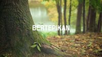 Bertepikan