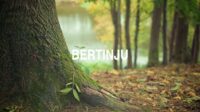 Bertinju