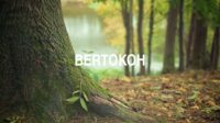 Bertokoh